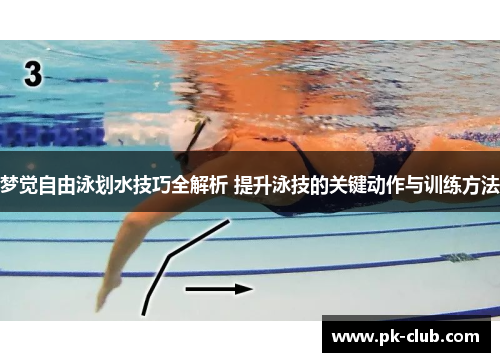 梦觉自由泳划水技巧全解析 提升泳技的关键动作与训练方法